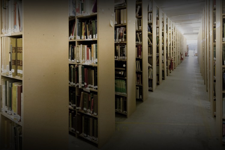 Shelved Books at Anybook.com